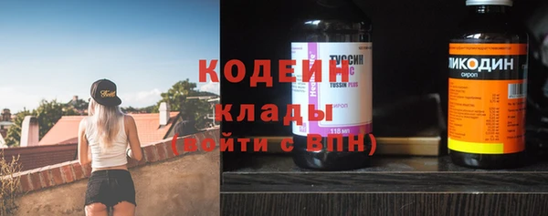 дживик Киренск
