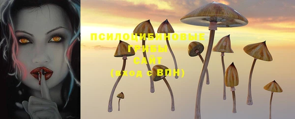 дживик Киреевск