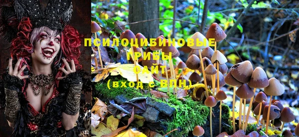 прущая мука Кинешма