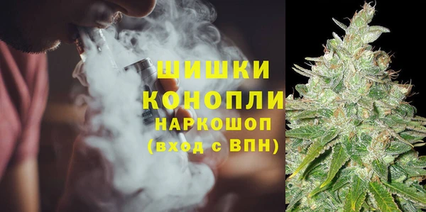 дживик Киренск