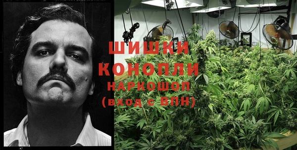 прущая мука Кинешма